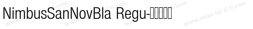 NimbusSanNovBla Regu字体转换